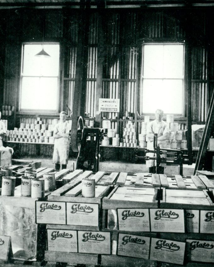 Glaxo packing room at Bunnythorpe, New Zealand, c.1920