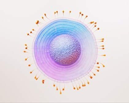 대상포진 세포 과학 이미지