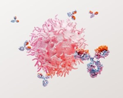 루푸스 세포 과학 이미지
