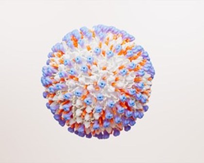 RSV 바이러스 세포 과학 이미지