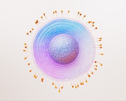 대상 포진 세포 과학 이미지