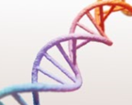 DNA 나선 구조 과학 이미지