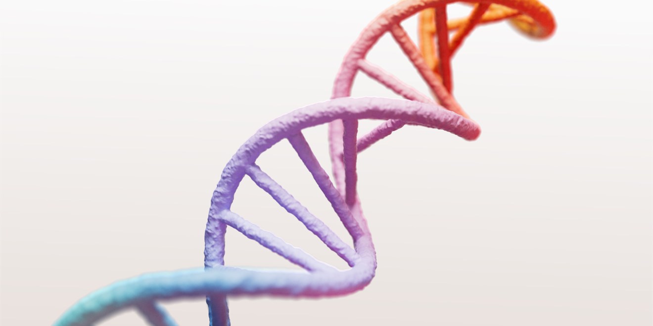 DNA 나선 구조 과학 이미지