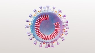 코로나 바이러스 세포 단면