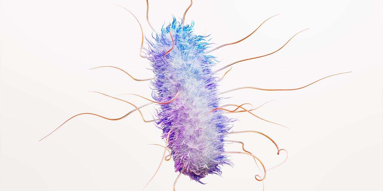 대장균(E. Coli) 박테리아 과학 이미지